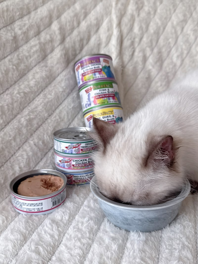 女人知己試用大隊,口碑行銷,部落客行銷,PURRFACT 波菲特貓用主食罐,主食罐,PURRFACT波菲特,貓主食罐,貓罐,PURRFACT波菲特貓用主食罐,魚肉蔓越莓主食罐,鮮嫩雞主食罐,鹿肉雞肉主食罐,牛肉鵪鶉貓主食罐,干貝蠶蛹配方,鱷魚肉白木耳配方,雞肉魚肉配方,安心鶉配方,評價,體驗,適口性佳,心得,成貓適用,高齡貓適用,質地是慕絲狀